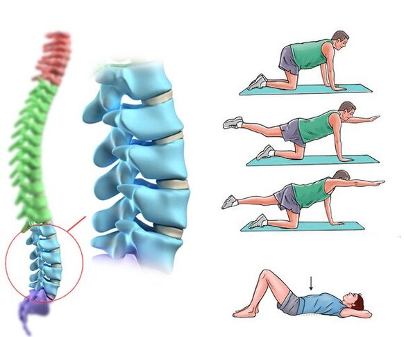 Physical therapy and massage