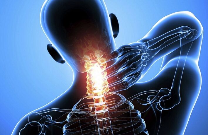 Neck bone and chondropathy